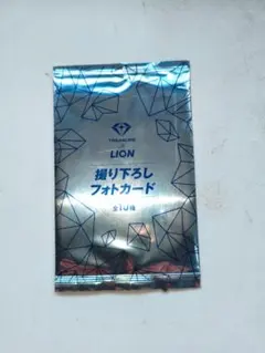 TREASURE LION フォトカード 1枚入り
