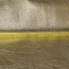 Item thumbnail for item 7c8580cc-2e8a-4580-b39e-46de47e152d0