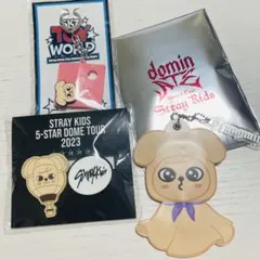 straykids スンミン パピーム まとめ売り - メルカリ