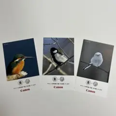 Item thumbnail for item 6e888f05-fb12-4373-8fc2-2c65699b7e9f