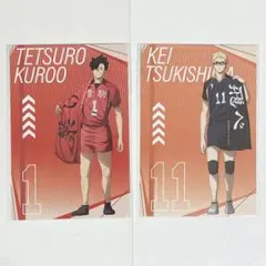 黒尾鉄朗 月島蛍 ポストカード