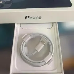 iPhone 充電器 純正 タイプCライトニングケーブル Apple正規品