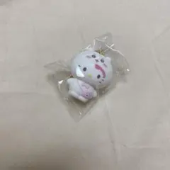 ちいかわサンリオコラボ シークレットフロッキー マスコットチャーム