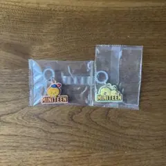 SEVENTEEN MINITEEN めじるしアクセサリー ホシスングァン