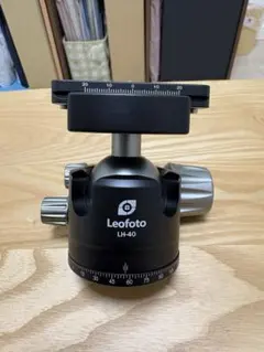 Item thumbnail for item 7f95da48-075a-4d09-8a53-c5a248f74e1f