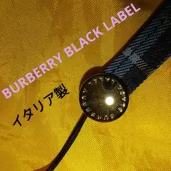 Item thumbnail for item a7c01813-21b5-4e07-8144-b6a2dbca4050