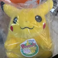 ポケモン　おかえりピカチュウ　はじまりのピカチュウ 3点セット