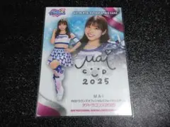 Item thumbnail for item 6ce002b2-8348-42b9-8119-1e2352f0f503