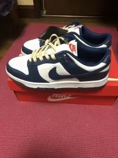 NIKE DUNK low バレリアンブルー