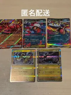 Nのゼクロム メガズルズキンEX ゼラオラ　メガサメハダーEX オドリドリEX