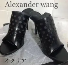 【Alexander wang】パンチングサンダル　37 2/1 海外ハイセンス