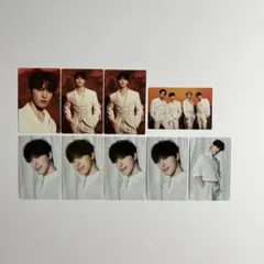 SEVENTEEN BE THE SUNトレカ ディノ