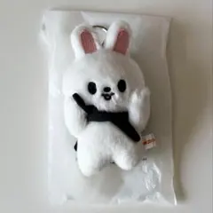 2026年最新】10cm skzoo leebitの人気アイテム - メルカリ