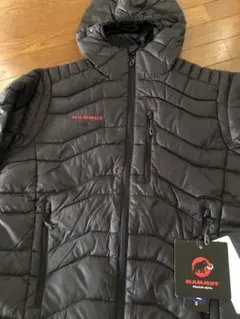 Item thumbnail for item d90e7bef-6b43-4b3c-826f-12bad7ce9454