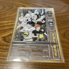 『ハイキュー！！‪✕‬sportiva』 スペシャルアクリルパネル