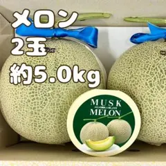 も*ん様 高知産　約９，８ｋｇ　贈答用　５玉　温室マスクメロン　秀品　北海道沖縄 高知産 温室マスクメロン 秀品 4.5kg 2玉 北海道沖縄発送不可 - メルカリ