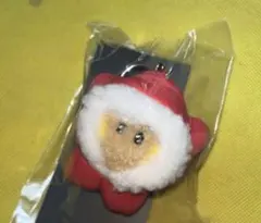 BT21 mini mininiダウン ぬいぐるみキーリング SHOOKY