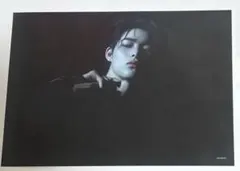 ENHYPEN DESIRE:UNLEASH ニキ タワレコフライヤー