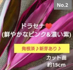 速達！Unai☆22様 リクエスト 3点 まとめ商品