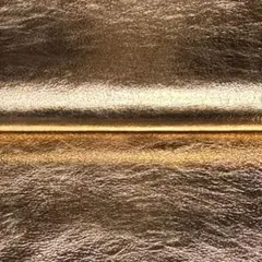 Item thumbnail for item 964bba33-2e33-4f3a-9cf4-69feedd0ab70