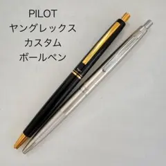 新品 廃盤 PILOT パイロット 万年筆 細字 F 赤 ニューヤングレックス