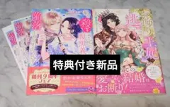 お飾り王妃は逃亡します　私を殺す予定の腹黒義弟に陥落させられそうです　TL　新刊