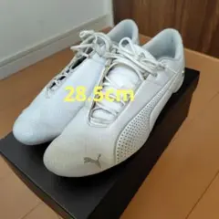 フューチャーキャット