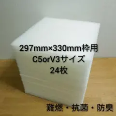 Item thumbnail for item 335f53d0-1c3e-4947-aeeb-02090e984388