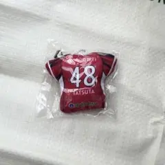 ファジアーノ岡山 ユニフォームクッション 立田悠悟
