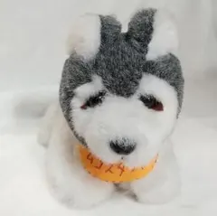 シベリアンハスキー　ハスキー犬 ぬいぐるみ 中型 ムコスタちゃん 非売品　当時物