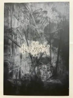 舞台トワツガイⅡ パンフレット