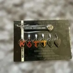 KAT-TUN SPRING 05 LOOKING グッズセット - メルカリ