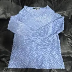 SUGAR SPOON ライトブルー 長袖トップス F