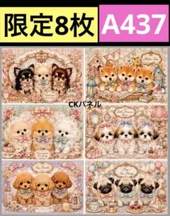 限定10枚！ 猫 にゃんこ‼️超お得な8柄‼️レアパネル生地 無くなり次第
