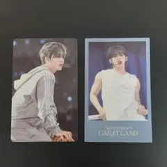 SEVENTEEN CARATLAND 2024 エスクプス VOD特典