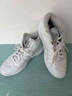 asics バスケットボールシューズ 25.0cmのサムネイル