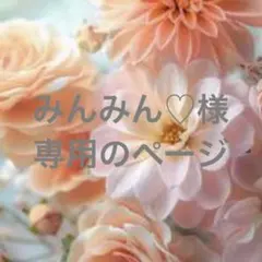 みんみん♡様専用のページです☆