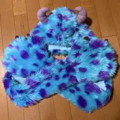 ディズニー サリー ファンキャップ