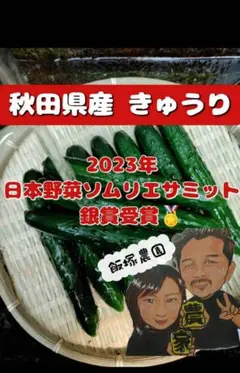 秋田県産 きゅうり 1キロのサムネイル