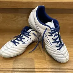 モナルシーダネオ　トレシュー