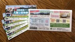 大分県 城島高原パーク 入園ご招待券 4枚セットのサムネイル