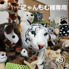 にゃんちむ様専用ページになります