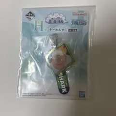 一番くじ ワンピース 思い描く未来 H賞キーホルダー