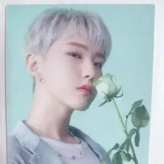 SEVENTEEN ホシ　HANABIトレカ