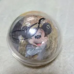 ワンマンズドリーム II カプセルトイ 実写 缶バッジ ミッキー プルート