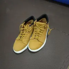 Item thumbnail for item c9c67a49-f813-4ac2-9d60-571e831c7c2f