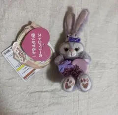 ディズニー　ステラルーキーホルダー