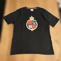 ラグビーワールドカップ2019 日本Tシャツ サイズL - メルカリ