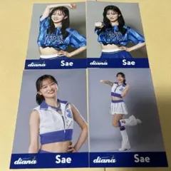 Item thumbnail for item 66c874df-3331-42f5-a4de-64c8dfd6fe02