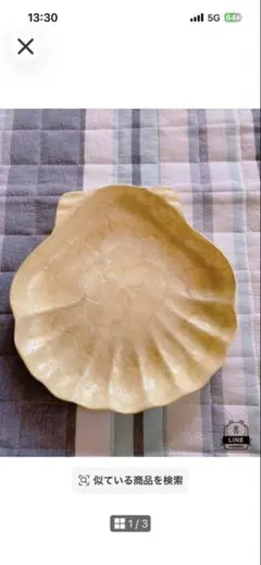 Hawaii 貝 シェル　コキール